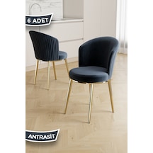 Antrasit -Gold 
