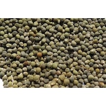 Botanik Sağlık Bamya Tohumu 250 G