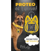 Petjoo 24.Proteo Gri-Sarı Qr'lı Köpek Künyesi