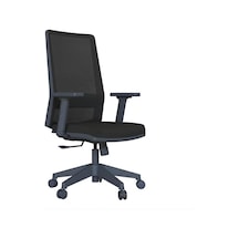 Tr Ritim Rtm Ergonomik Fileli Çalışma Koltuğu, Ayarlanabilir Bel Ve Kol Destekli Ofis Sandalyesi, 32 Dns Süngerli S Diğer
