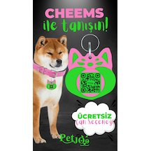 Petjoo 18.Cheems Yeşil-Pembe Qr'lı Köpek Künyesi