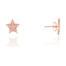 Gümüş Rose Zirkon Taşlı Yıldız Küpe N11.48562