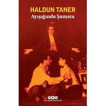 Ayışığında Şamata -  Haldun Taner -  Yapı Kredi Yayınları