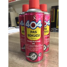 404 Pas Sökücü