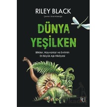 Dünya Yeşilken İrene Kitap