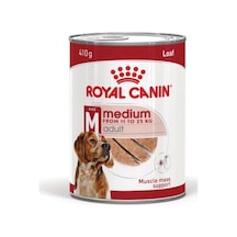 Royal Canin Medium Adult Yetişkin Köpek Konserve Yaş Maması 410 G