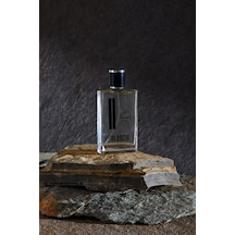 Alescia At-55 Erkek Parfüm EDP 50 ML