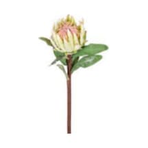 Yapay Çiçek Protea Çiçeği Yeşil 60 Cm. Çok Renkli