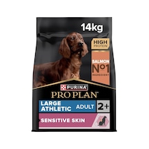 Large Athletic Adult Somonlu Köpek Maması 14 Kg