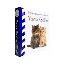 Dk Bebek Dokun Ve Hisset Serisi - Yavru Kediler