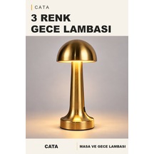 Çok Renkli