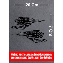 20x7 Cm