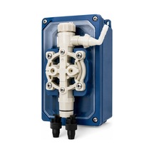 Bspool Sel Dozaj Pompası 10l/10b