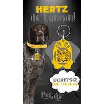 Petjoo 26.Hertz Gri-Sarı Qr'lı Köpek Künyesi
