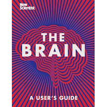 The Brain: Everything You Need To Know