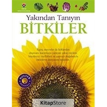 Bitkiler - Yakından Tanıyın / David Burnie