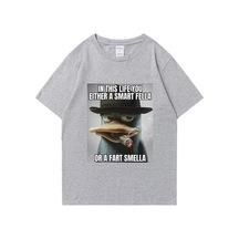 Flood Of Style Perry Platypus Komik Grafik T-shirt Erkek Kadın Moda Sokak Hip Hop Giysileri Büyük Boy % 100% Gri