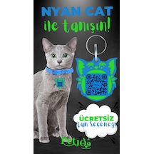 Petjoo 2.Nyan Cat Yeşil-Mavi Qr'lı Kedi Künyesi