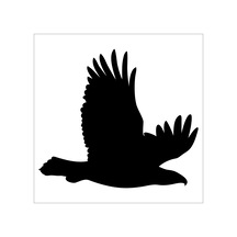 Kartal Folyo Sticker Derstv748 50cm Uzunluk Siyah