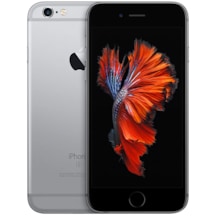 EasyCep Yenilenmiş Apple iPhone 6S Plus 32 GB Uzay Grisi (12 Ay Garantili) N112 - A Grade