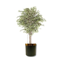 Rüzgar Yapay Çiçekçilik 170 Cm Lux Saksıda Ficus Ağacı Yeşil Beyaz