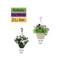 2'li Set Beyaz+ Mor Renkli Petunya Çiçeği