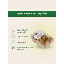 Aydın Nazilli Kuru Dağ İnciri-6692