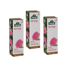 Arifoğlu Gül Yağı 3 x 20 ML