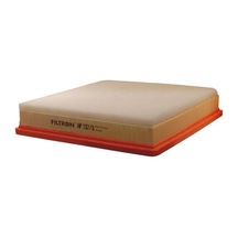 Filtron Hava Filtresi AP137/3