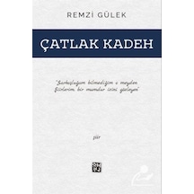 Çatlak Kadeh / Remzi Gülek