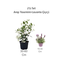 Arap Yasemini + Lavanta Çiçeği2'li Set Dış Mekan Bitkisi