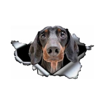 Dachshund Yırtık Deseni Araba Sticker Model1