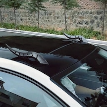 Araba Tavanı Ejderha Boynuzu Araç Dış Aksesuar Boynuz Karbon