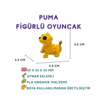 10'lu Set Kuş Su Samuru Tavuk Kaplumbağa Fok Ahtapot Puma Deve