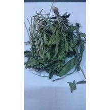 Sinirli Ot- Otu Aktar Depo Diğer