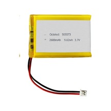 Biges 365 Alarm Panel Pil