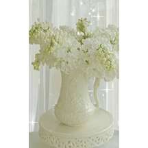 Beyaz Leylak Ağacı Fidanı 30-40 Cm Boylarında 1-2 Yaş Arası Saksı