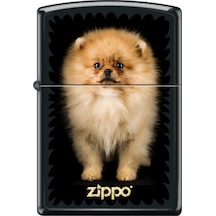 Zippo Puppy Çakmak