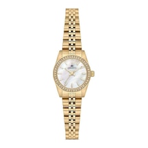 Momentus Sw262g-09sg Sarı