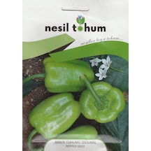 Nesil Kandil Dolma Biber 5 GRam