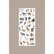 M32 Hayvan Temalı Sticker Seti Çok Renkli