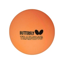 Butterfly Traınıng Balls 100lü Çanta 16005b-o