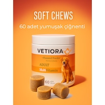 Köpekler İçin Multivitamin Güçlü Bağışıklık Ve Sağlıklı Tüyler İçin Çiğnenebilir Tablet, 150 Gr