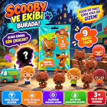 Cool Things Scooby Doo Buddies 3d Sürpriz Figür Paketi
