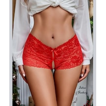 Intive Lingerie Intive Fantasy Esnek Dantelli Ağı Açık Fantezi Külot/brazilian K Kırmızı