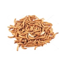Un Kurdu 1000Gr
