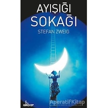 Ay Işığı Sokağı - Stefan Zweig - Girdap