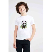 Panda Baskılı Unisex Çocuk Beyaz T-Shirt (534795001)