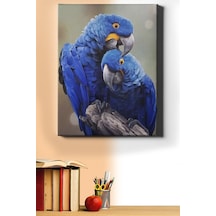 Webstyle Sayılarla Boyama Seti Kasnaklı Orman Mavisi Papağanlar 40 X 50 Cm