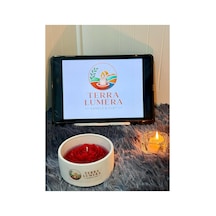 Bloom Bowl Rose Mum Kırmızı
